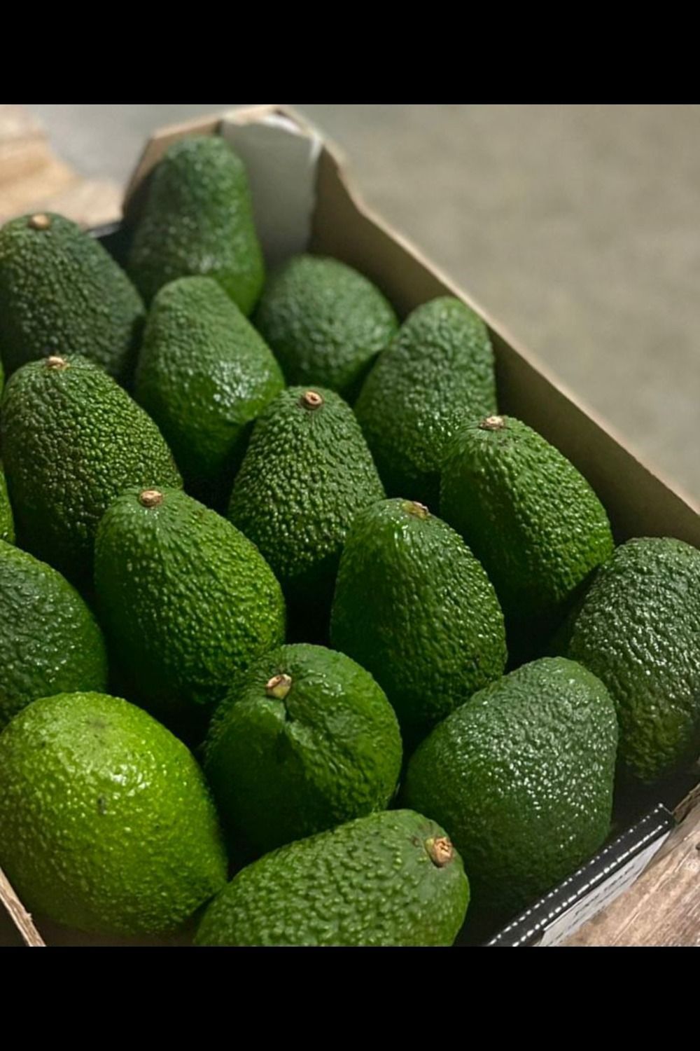 Kenya Avocado Export Company: Supplying Premium Hass & Fuerte Avocados Worldwide featured image