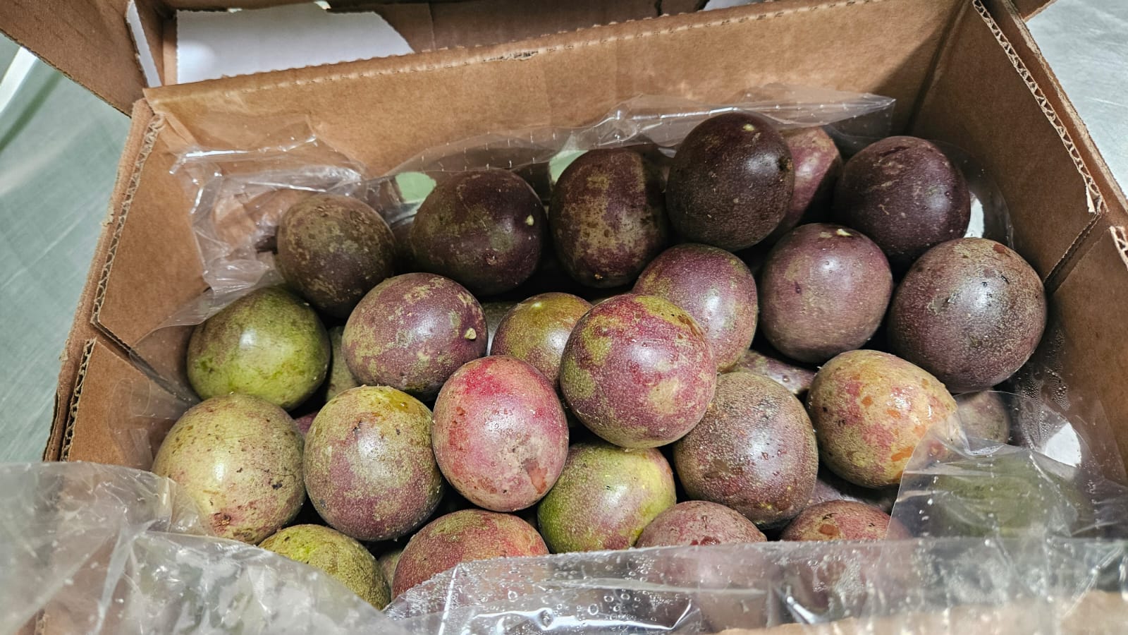 Kenya Passion Fruits Export Company – Premium Tropical Passion Fruit Exporter featured image