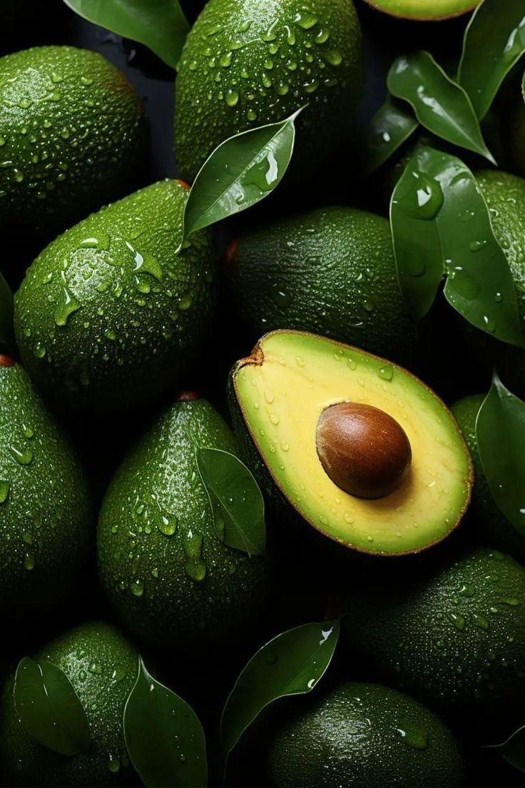 Kenya Hass Avocado Export Market and Leading Exporters featured image