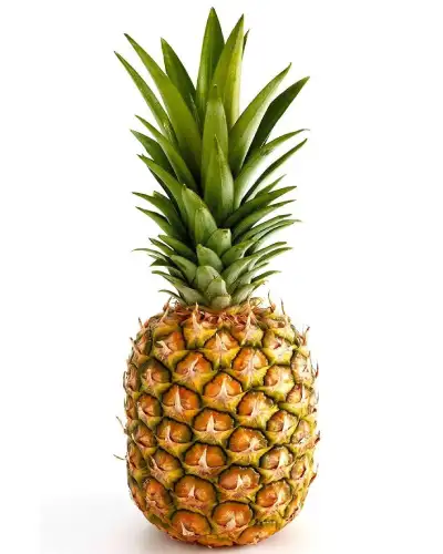 Pineapples image